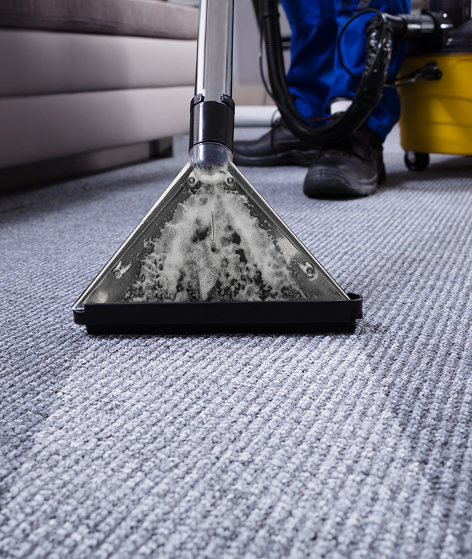 Professional Carpet Cleaning Services in Studio City, CA